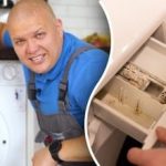 Jak wyczyścić pralkę z pleśni i nieprzyjemnego zapachu: porady eksperta dotyczące oszczędzania pieniędzy Jak wyczyścić pralkę z pleśni i nieprzyjemnego zapachu: porady eksperta