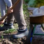 Kalendarz siewu na wrzesień 2025: co robić w ogrodzie i