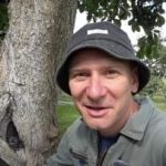 Puste drzewo to nie wyrok: sprawdzony sposób na przedłużenie życia